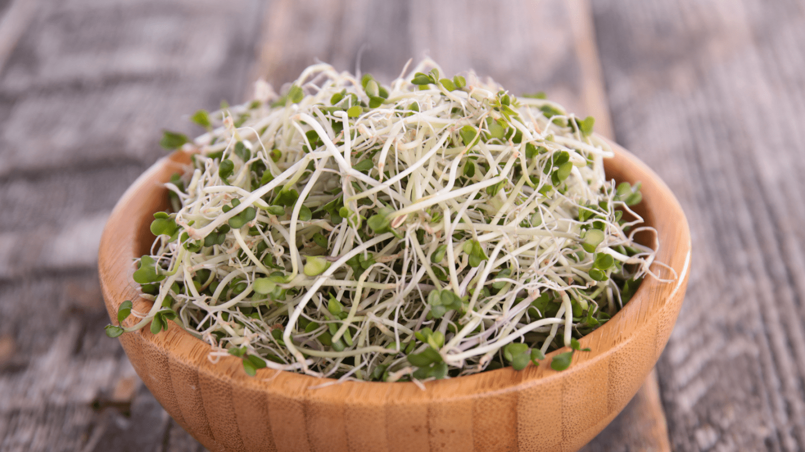 Wie gesund sind Brokkoli-Sprossen? Die Wahrheit hinter den kleinen Powerpaketen - Keimgrün