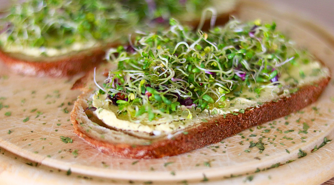Leckere Sprossen auf dem Brot