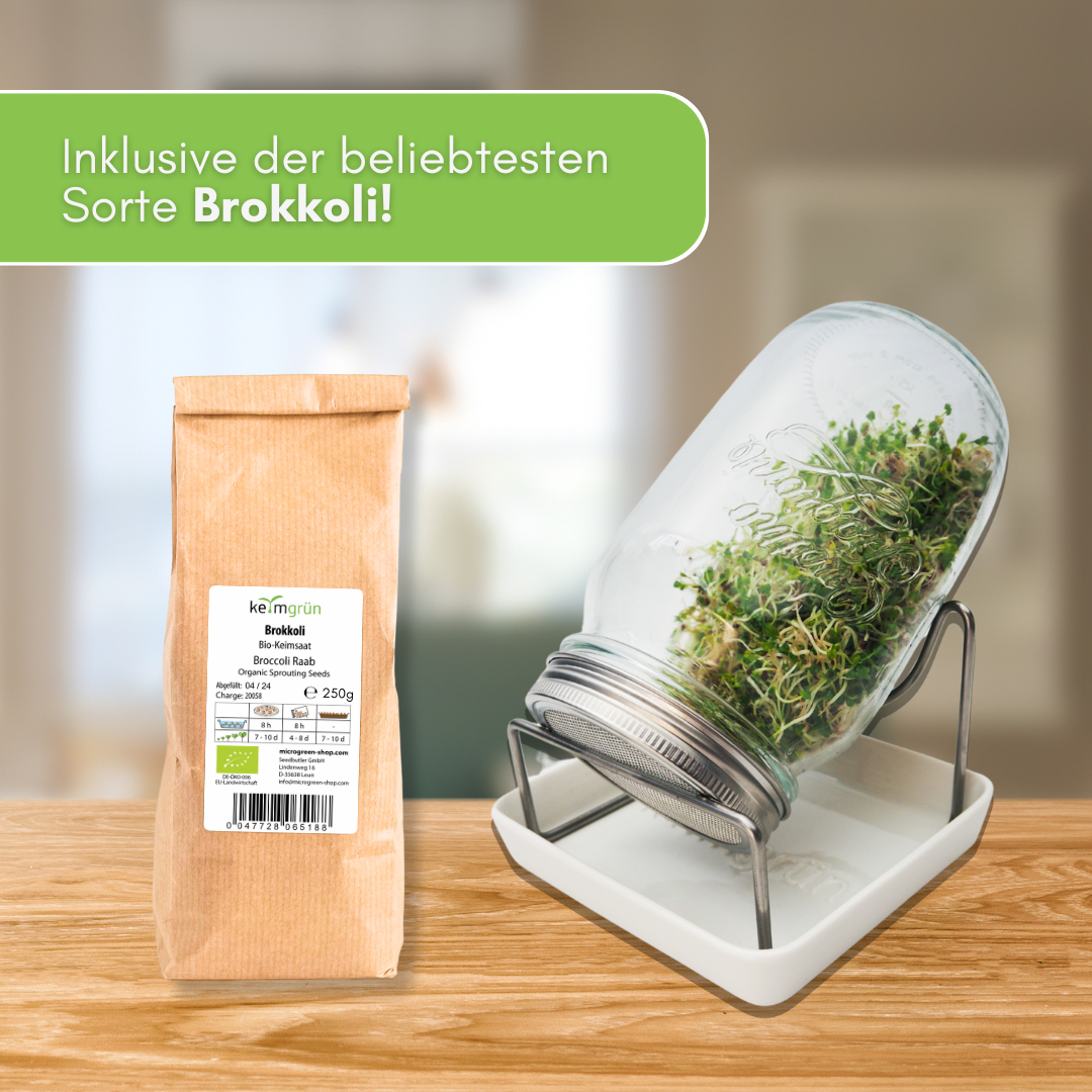 brokkolisamen keimglas Brokkoli-Starterpaket – Keimgrün