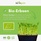 Erbsen Samen image 1