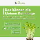 Sonnenblumen Samen image 4