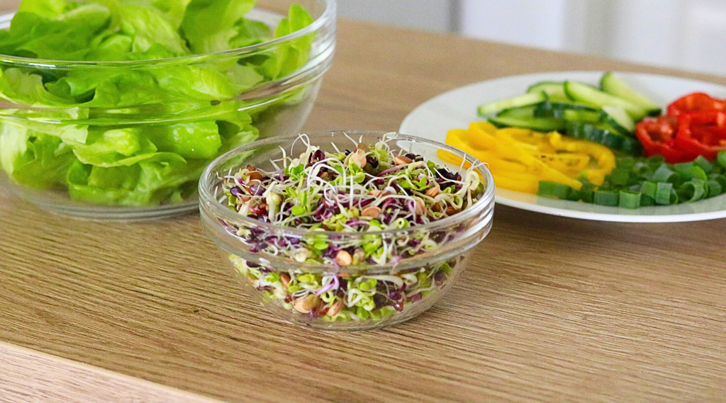 Gesunde Sprossen im Salat