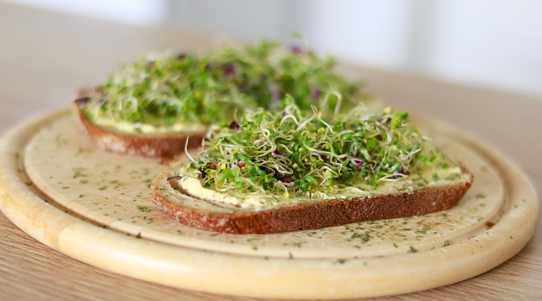 Inhalt Sprossen Starter Kit Sprossenmix Brotzeit