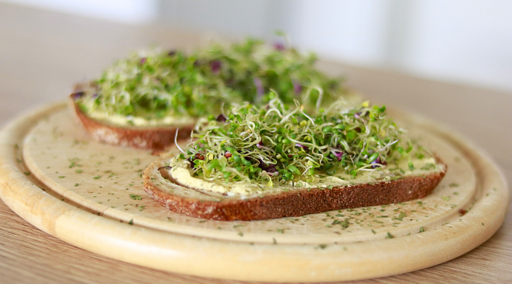 Inhalt Sprossen Starter Kit Sprossenmix Brotzeit