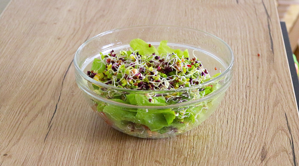 Inhalt Sprossen Starter Kit Sprossenmix Salat