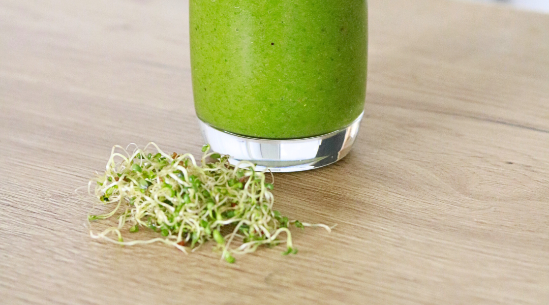 Inhalt Sprossen Starter Kit Sprossenmix Smoothie