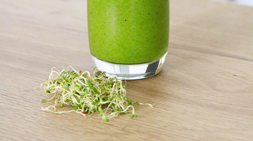 Inhalt Sprossen Starter Kit Sprossenmix Smoothie
