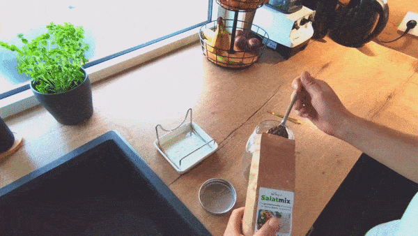 Sprossen Anbauen GIF1