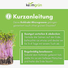 Roter Kohlrabi Samen image 3