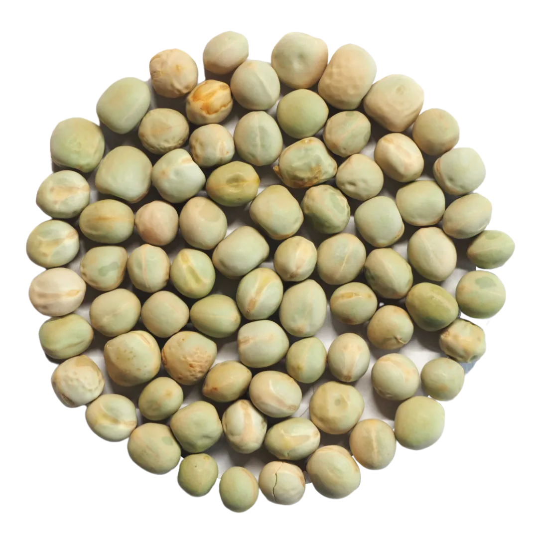 Erbsen Samen image 0