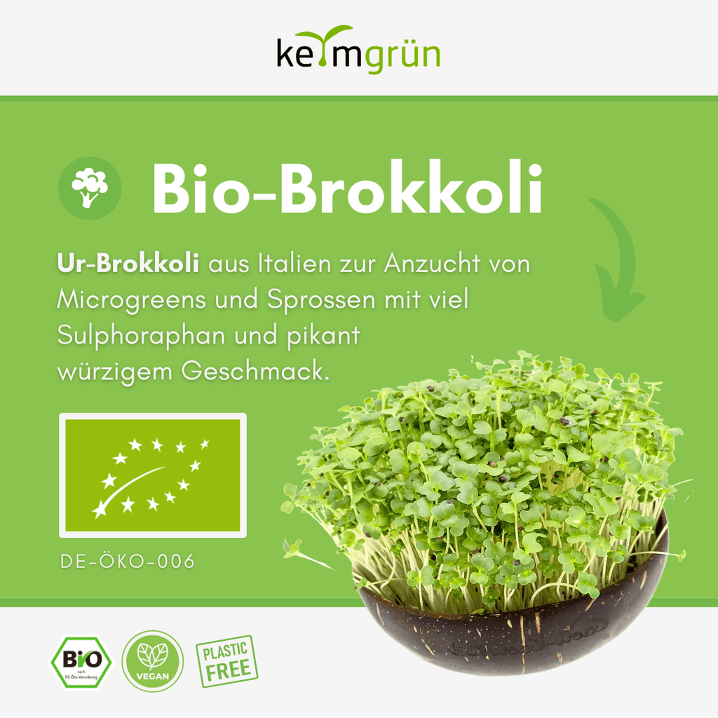 Keimgrün Brokkoli Bio-Keimsaat