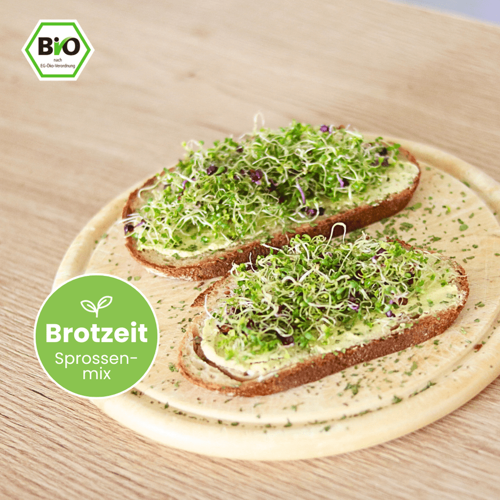 Keimgrün Brotzeitmix Abo