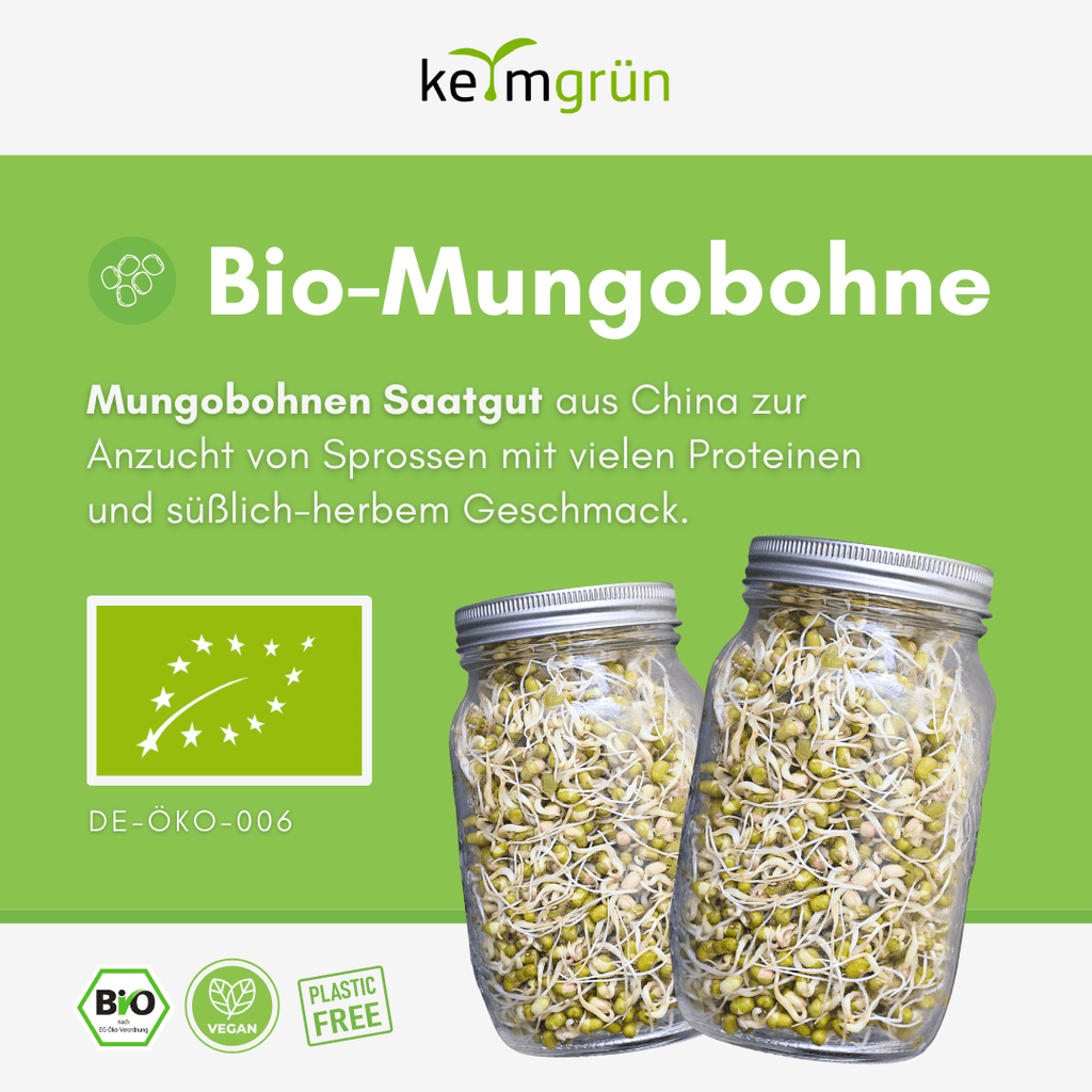 Keimgrün Mungobohnen Bio-Keimsaat