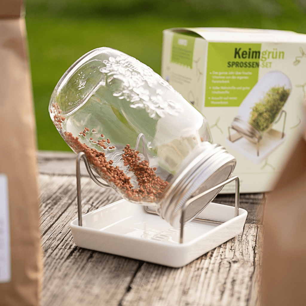 Keimgrün Sprossenglas Starterpaket - Keimgrün