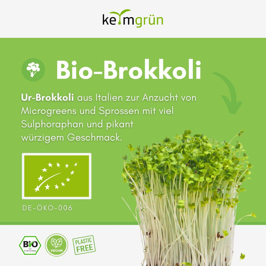 Keimgrün Sprossenstars Probierpaket - Keimgrün
