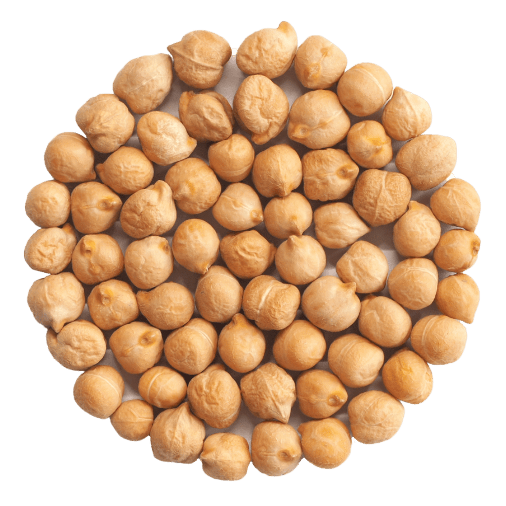 Kichererbsen Bio - Keimsaat - Keimgrün