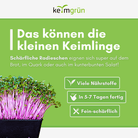 Radieschen Bio - Keimsaat - Keimgrün