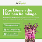 Radieschen Rot Bio - Keimsaat - Keimgrün