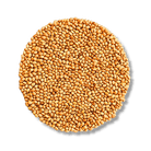 Rosenklee Bio - Keimsaat - Keimgrün