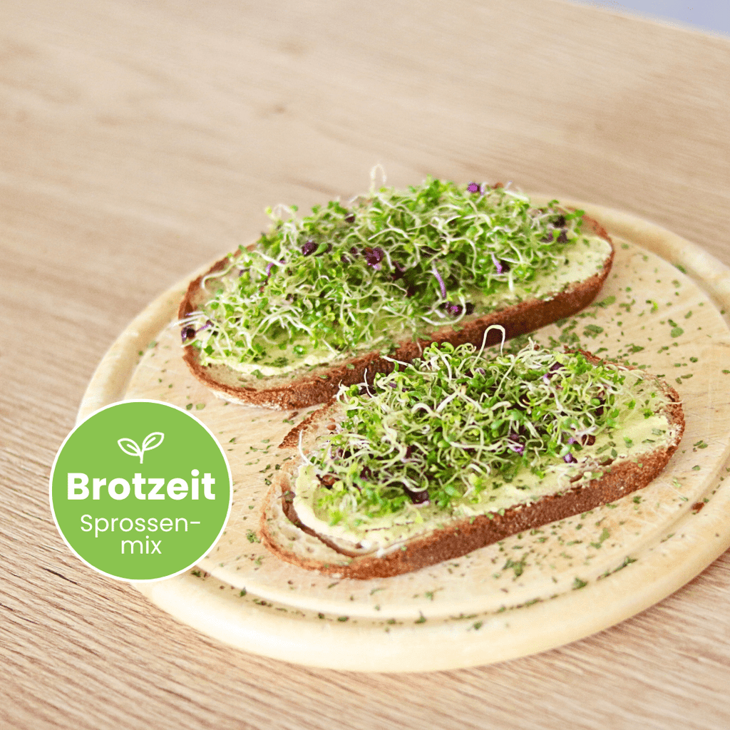 Sprossen Starter Set "Gesund durch den Tag" - Keimgrün