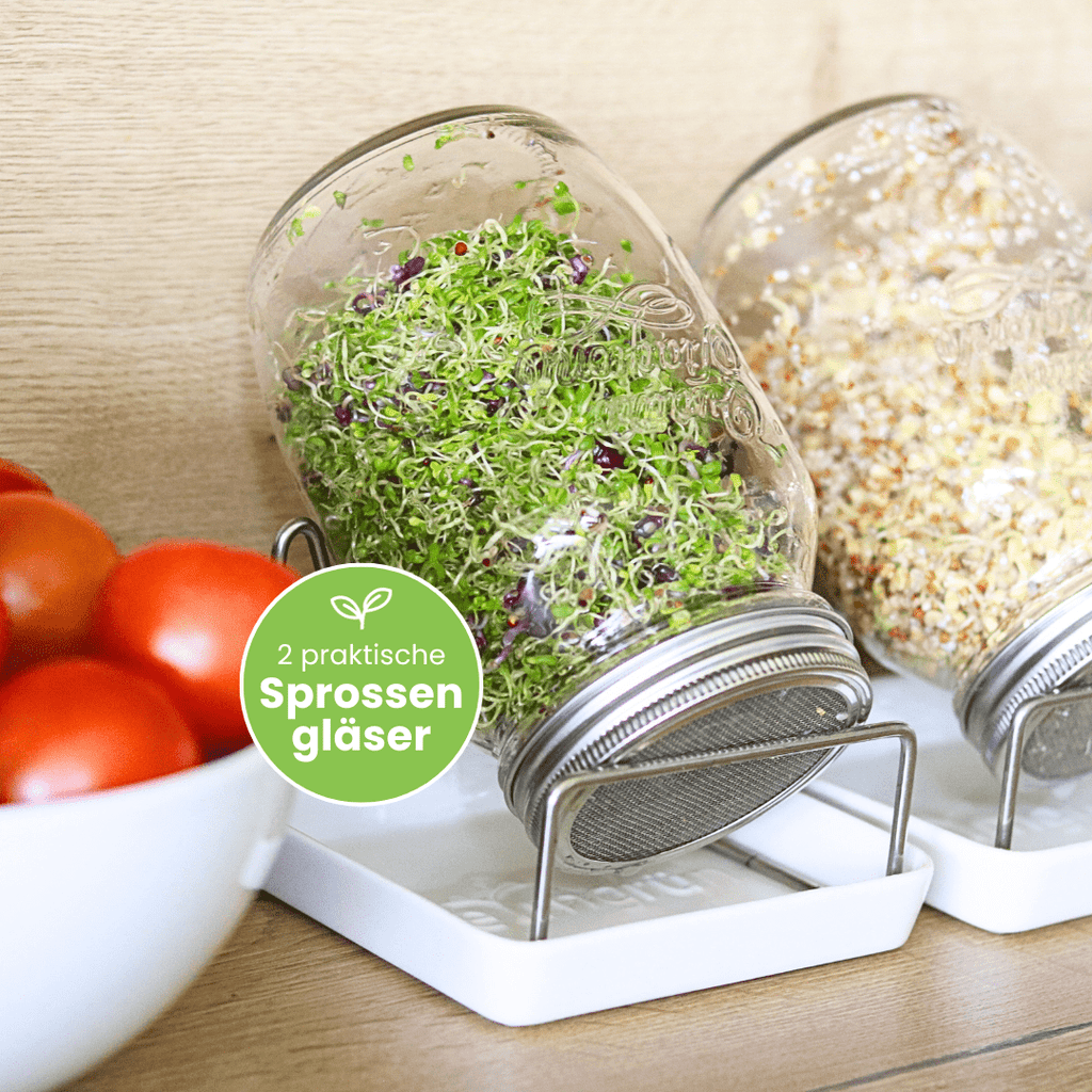 Sprossen Starter Set "Gesund durch den Tag" - Keimgrün