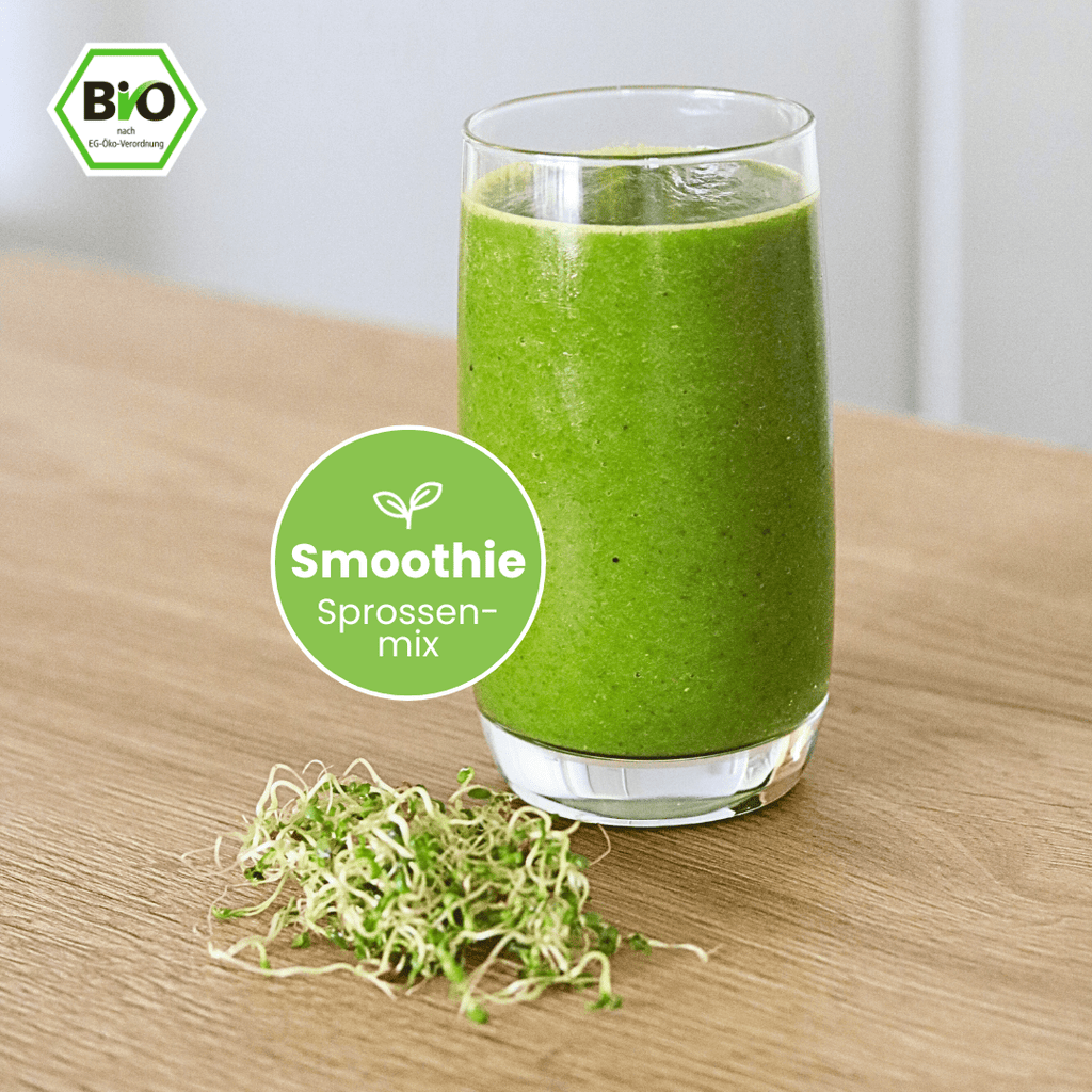 Sprossenmix "Smoothie" Keimsaat - Keimgrün